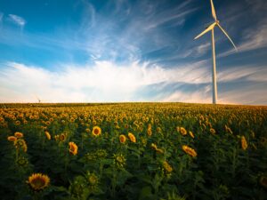 Proyecto energía eólica y solar en zonas rurales